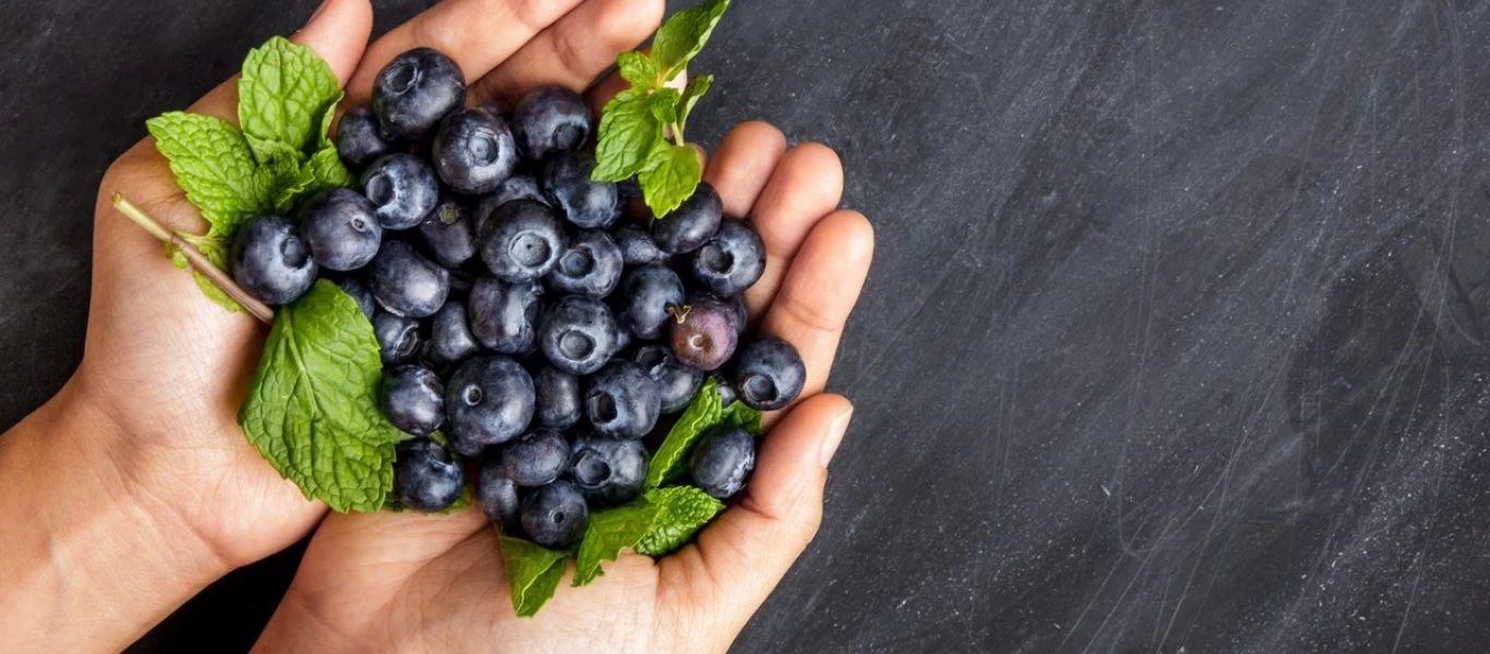 Όλα όσα πρέπει να γνωρίζετε για τα μύρτιλα - Ποια τα οφέλη για τον οργανισμό